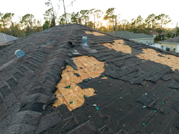 Best Storm Damage Roof Repair  in Arcola, TX